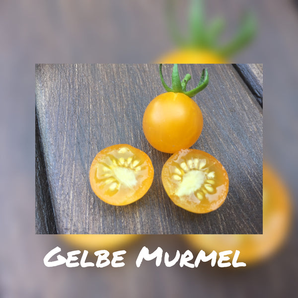 Gelbe Murmel