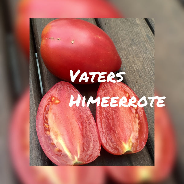 Vaters Himbeerrote