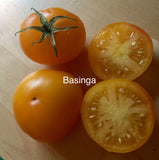 Basinga